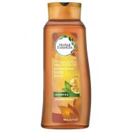 Walgreens Herbal Essences Body Envy Volumizing Shampoo Citrus