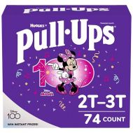 Walgreens Huggies Pull-Ups Learning Designs Training Pants for Girls 2T - 3T