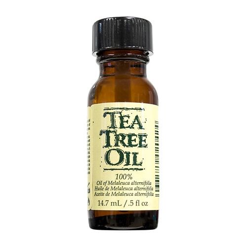 월그린 Walgreens Gena Laboratories NailCare Treatment Tea Tree Oil