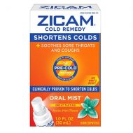 Walgreens Zicam Cold Remedy Plus Oral Mist Arctic Mint