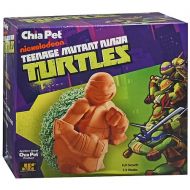 Walgreens Chia Pet Teenage Mutant Ninja Turtles