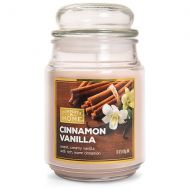 Walgreens Patriot Candles Jar Candle Cinnamon Vanilla Tan