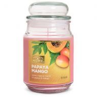 Walgreens Patriot Candles Jar Candle Papaya Mango
