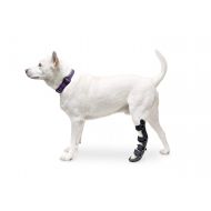 Walkin' Walkin Pet Splint for Dog, Canine Rear Leg