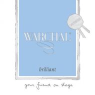 Warchal Brilliant Vintage Violin String Set