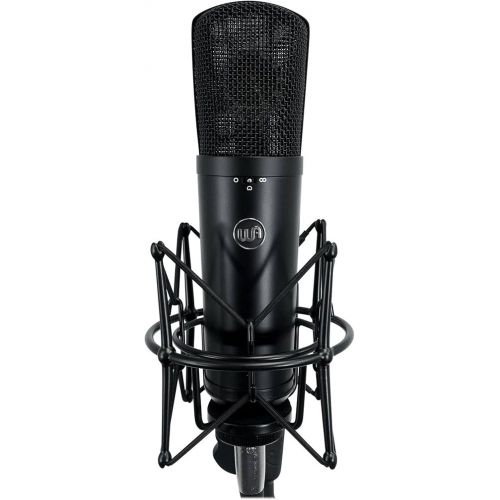  Warm Audio WA-8000 Large Diaphragm Condenser Microphone