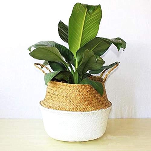  WarmShine White Seagrass Wicker Basket Flower Pot Folding Basket Plant Basket for Storage, Laundry, Picnic,Plant Pot Cover, 6.3x5.9inch(DxH)