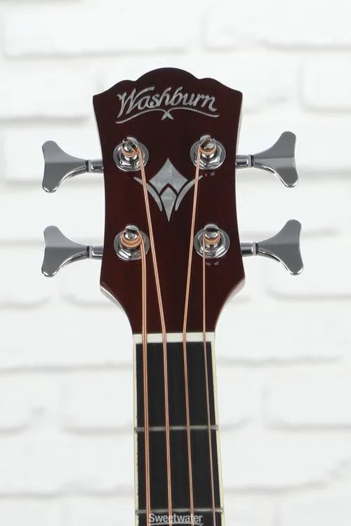 Washburn AB5K-A Acoustic-electric Bass Guitar - Natural Gloss Demo