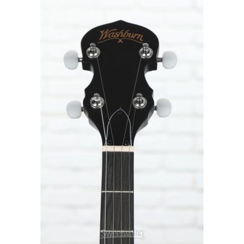  Washburn Americana B8-Pack Banjo Pack