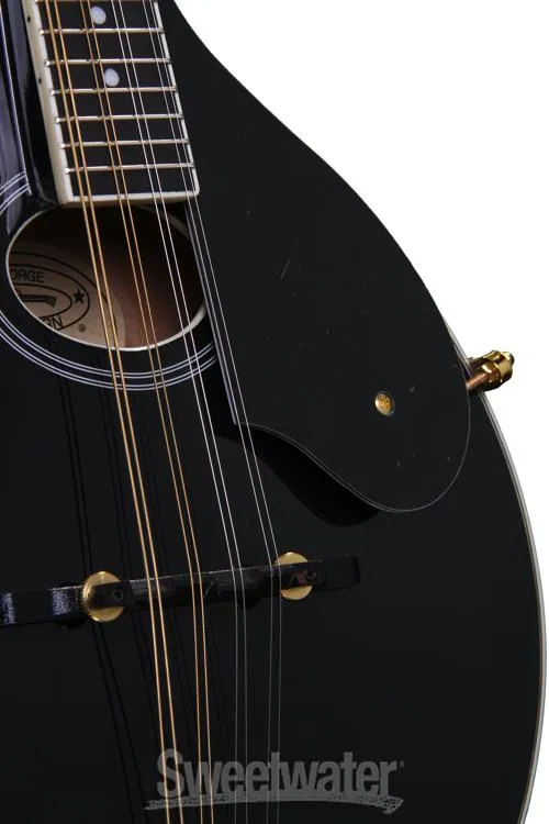  Washburn Americana M1SD - Black