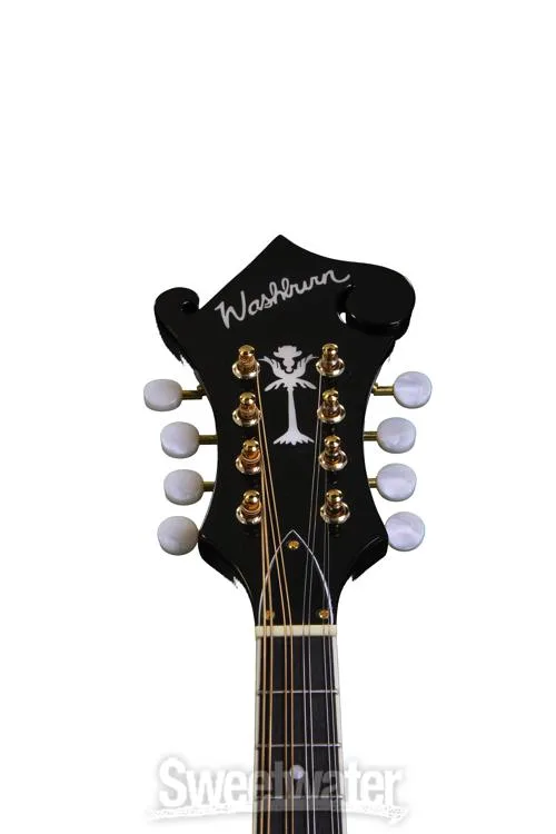  Washburn Americana M1SD - Black