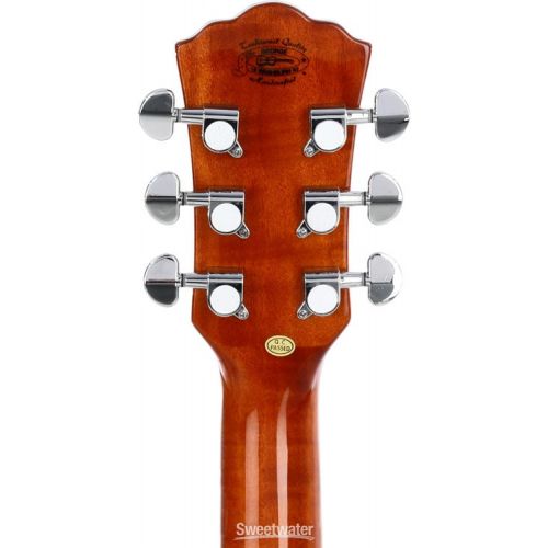  Washburn Apprentice D5 Acoustic Guitar - Natural