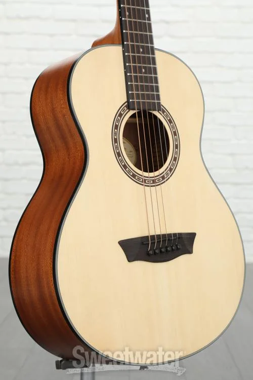  Washburn Apprentice G-Mini 5 - Natural