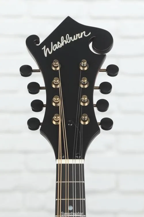  Washburn Americana M108SW - Vintage Natural