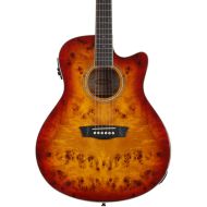 Washburn Deep Forest Burl ACE Acoustic Guitar - Amber Fade