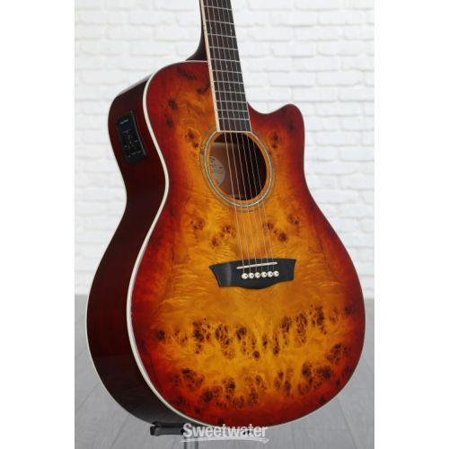  Washburn Deep Forest Burl ACE Acoustic Guitar - Amber Fade