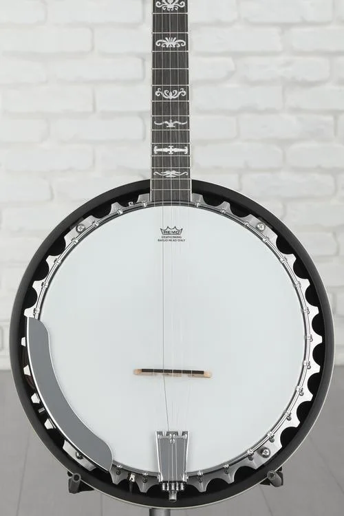 Washburn Americana B10 5-string Resonator Banjo