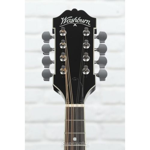  Washburn M1S 