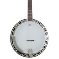 Washburn Americana B11 5-string Resonator Banjo