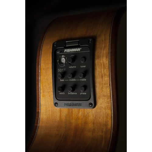  Washburn 6 String Acoustic-Electric Guitar, Natural (WCG66SCE-O): Musical Instruments