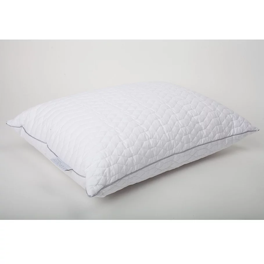  Waterford Marquis Raindrop Quilted Down Alternative Pillows (Set of 2)