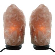 Waterglider International Himalayan Natural Salt Lamp- TWO Pack- Multiple Sizes (7-9 inch)