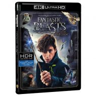 Wbshop Fantastic Beasts and Where to Find Them (4K UHD)
