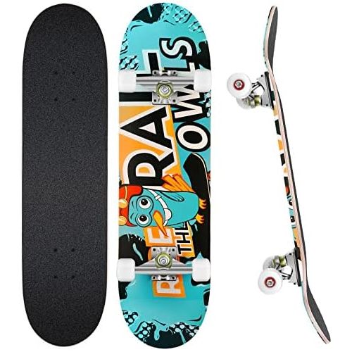  WeSkate Cruiser Skateboards for Beginners, 27 Inch Complete Skateboard for Kids Teens Adults, 7 Layer Canadian Maple Double Kick Deck Concave Trick Skateboard with All-in-One Skate