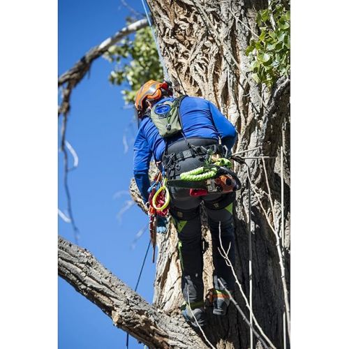  Weaver Leather 8-185-LG Weaver Arborist WLC-7 Saddle with Leg Straps Featuring Memory Foam Pads, Large