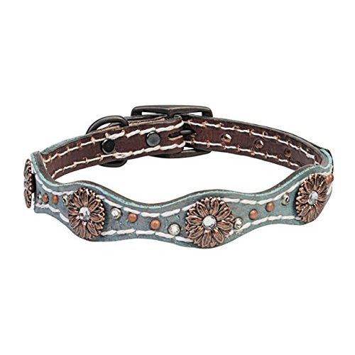  Weaver Leather Savannah Dog Collar