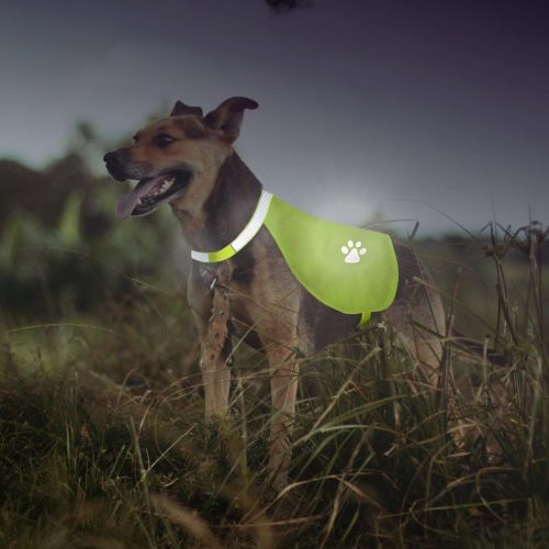  Weebo Pets Hi-Vision Reflective Neon Yellow Safety Vest