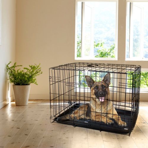  Folding Metal Pet Crate with Removable Liner by Weebo Pets