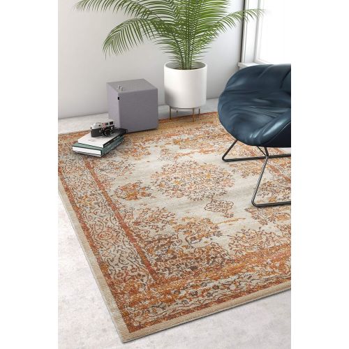  Well Woven FI-18-5 Firenze Cannes Modern Vintage Ethnic Medallion Distressed Earth Area Rug 53 x 73