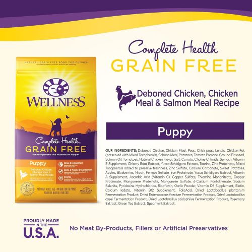  Wellness Natural Pet Food Wellness Complete Health Natural Grain Free Dry Dog Food Puppy Chicken & Salmon