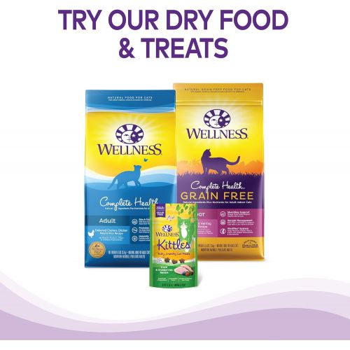  Wellness Natural Pet Food Wellness Complete Health Natural Grain Free Wet Canned Cat Food Pate Recipe Turkey Pate