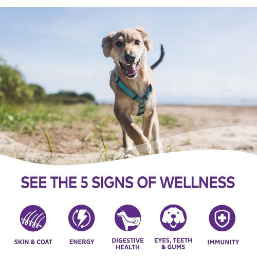  Wellness Natural Pet Food Wellness Thick & Chunky Natural Wet Grain Free Canned Dog Food