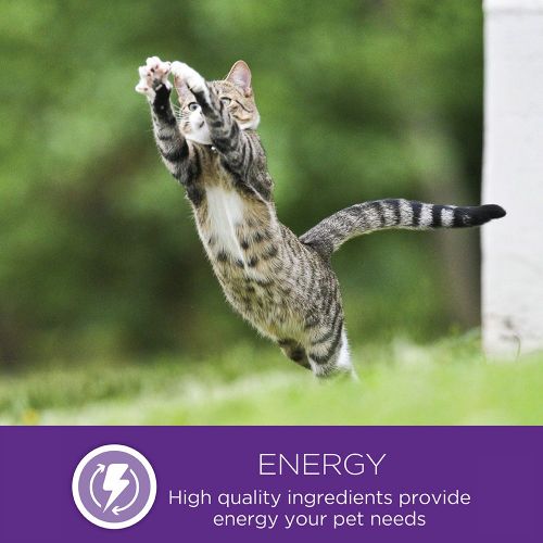  Wellness Natural Pet Food Wellness Kittles Crunchy Natural Grain Free Cat Treats