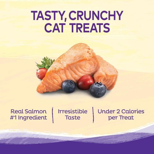  Wellness Natural Pet Food Wellness Kittles Crunchy Natural Grain Free Cat Treats