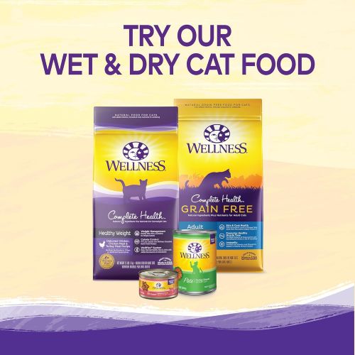  Wellness Natural Pet Food Wellness Kittles Crunchy Natural Grain Free Cat Treats
