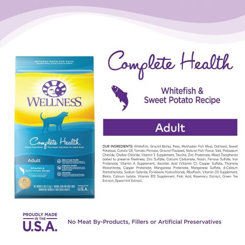  Wellness Natural Pet Food Wellness Complete Health Natural Dry Dog Food, Whitefish & Sweet Potato