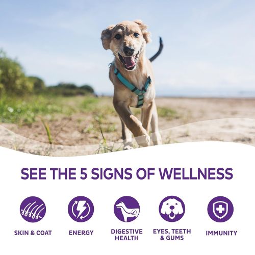  Wellness Natural Pet Food Wellness Complete Health Natural Dry Dog Food, Whitefish & Sweet Potato