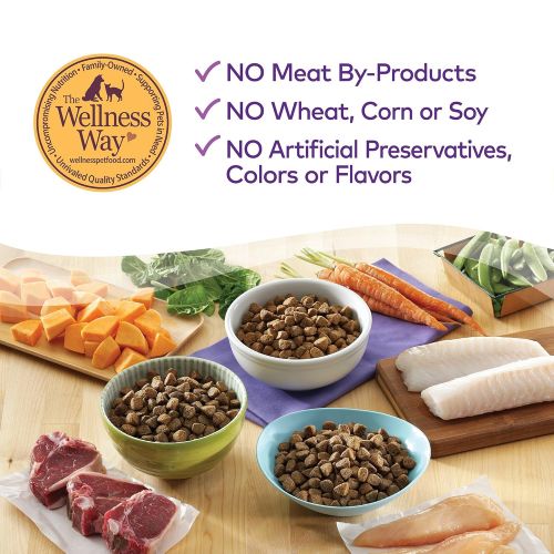  Wellness Natural Pet Food Wellness Complete Health Natural Dry Dog Food, Whitefish & Sweet Potato