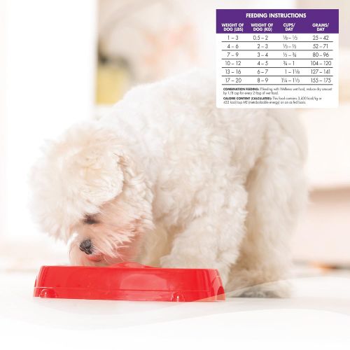  Wellness Natural Pet Food Wellness Complete Health Natural Dry Small Breed Dog Food Toy Breed Chicken & Rice