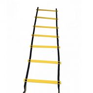 wellsem Footwork Ladder Agility Ladder with Ladder Bag, High Intensity Speed Ladder Best Football Drills Agility Equipment for Agility Training and More