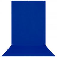 Westcott X-Drop Wrinkle-Resistant Backdrop (Chroma-Key Blue, 5 x 12')