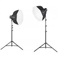 Westcott U60-B Bi-Color LED Monolight with Octabox (2-Light Kit)