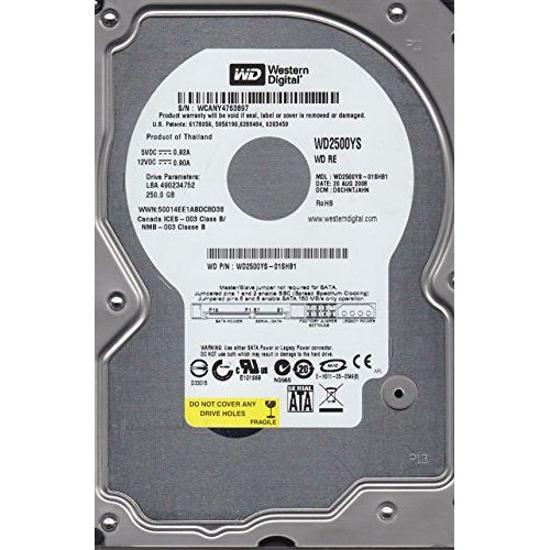  WD2500YS-01SHB1, DCM DSCHNTJAHN, Western Digital 250GB SATA 3.5 Hard Drive