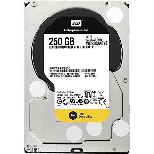  WESTERN DIGITAL WD2503ABYZ RE4 250GB 7200 RPM 64MB cache SATA 6.0Gb/s 3.5 internal hard drive Bare drive