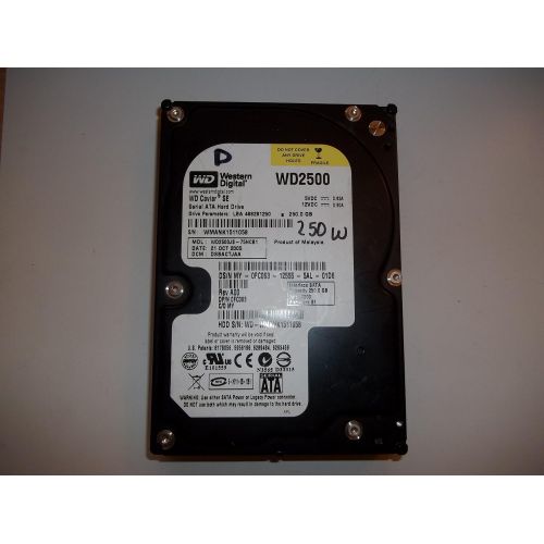  Western Digital Caviar SE 250 GB 3.5 Inch Hard Drive (WD2500JS)