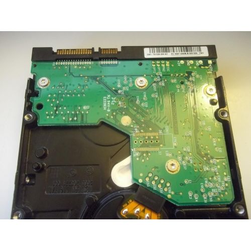  Western Digital WD 250GB SATA2 Bulk/OEM Hard Drive WD2500YS